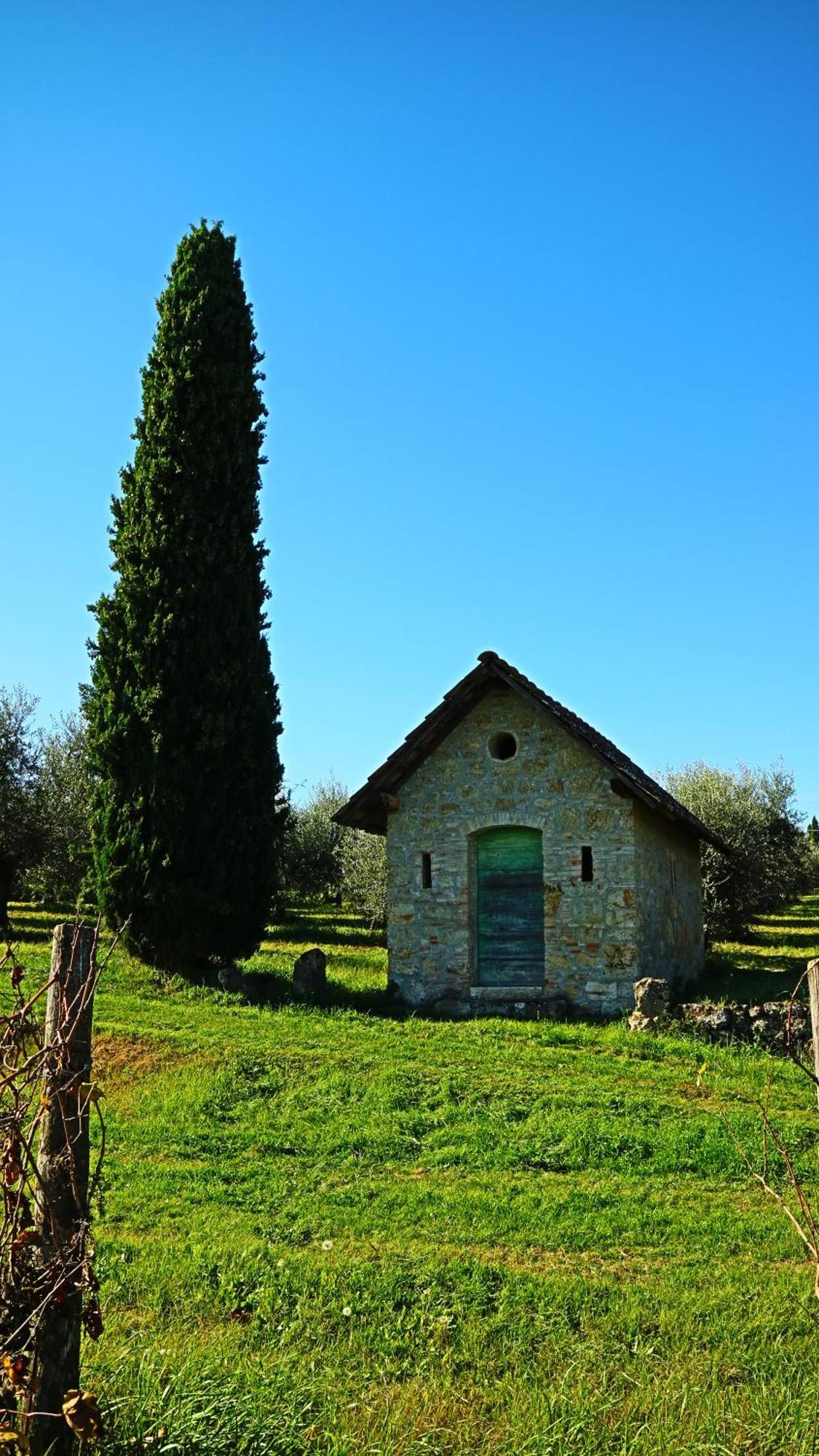 Agriturismo La Sovana Сартеано Экстерьер фото