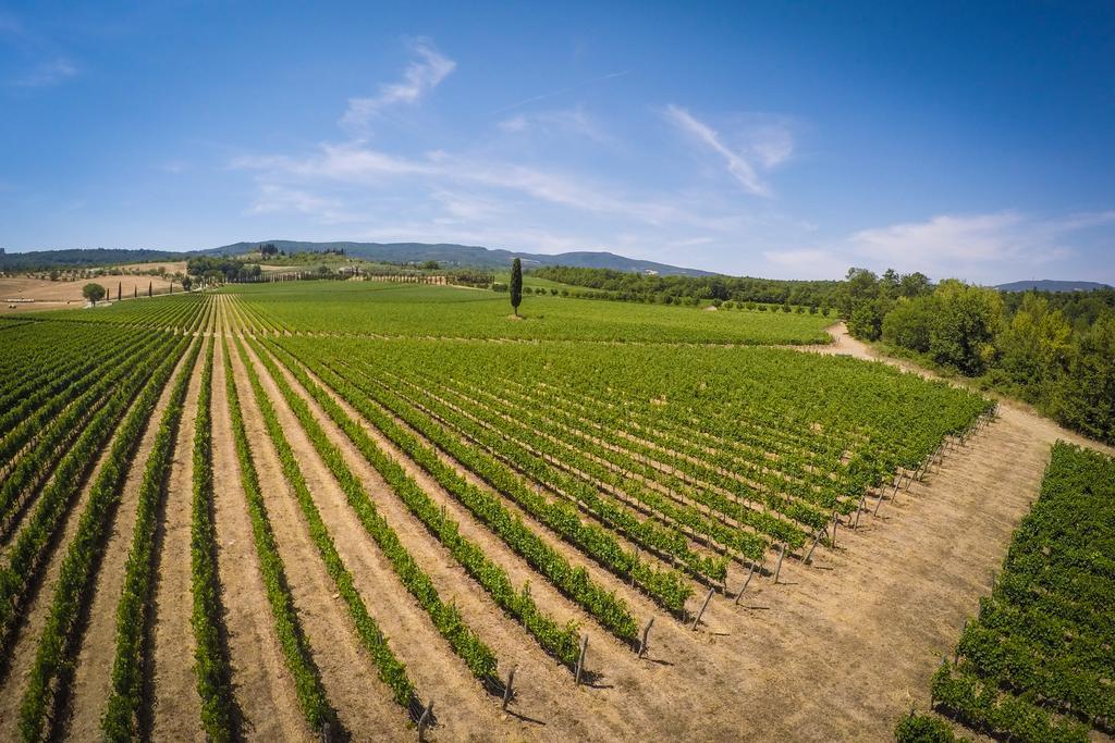 Agriturismo La Sovana Сартеано Экстерьер фото
