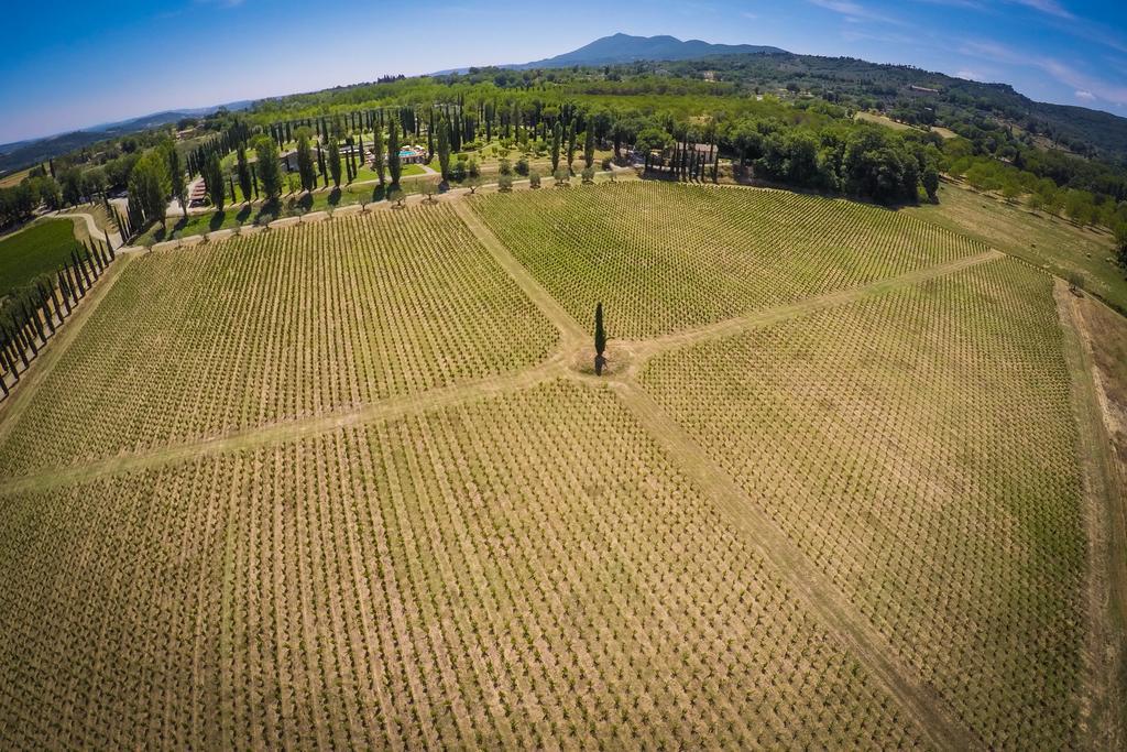 Agriturismo La Sovana Сартеано Экстерьер фото